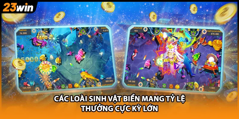 Các loài sinh vật biển mang tỷ lệ thưởng cực kỳ lớn